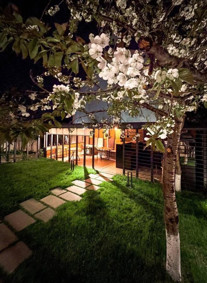 Hotel Andor Erévan